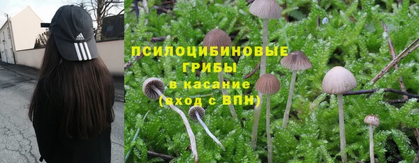 бутират Нягань